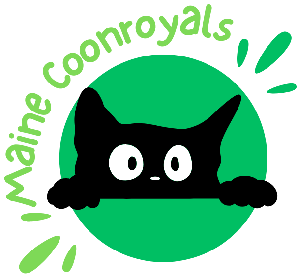 lovelymaincooncattery